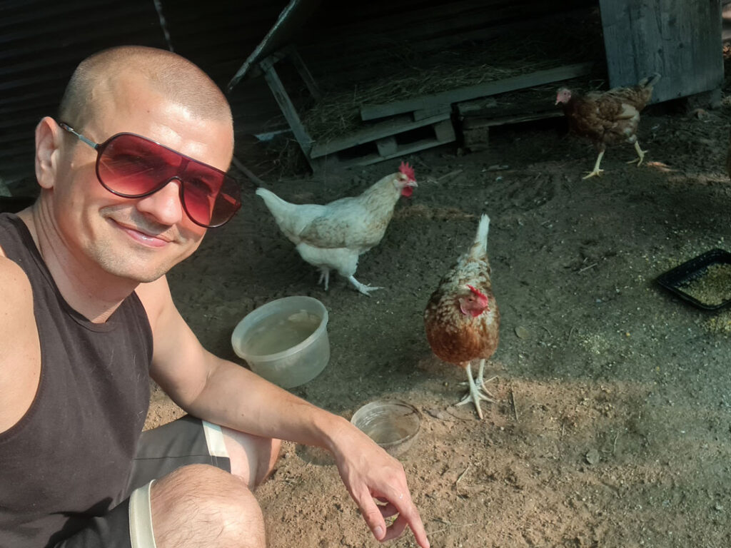 tiersitter paraguay huehner sitter chickens sitter